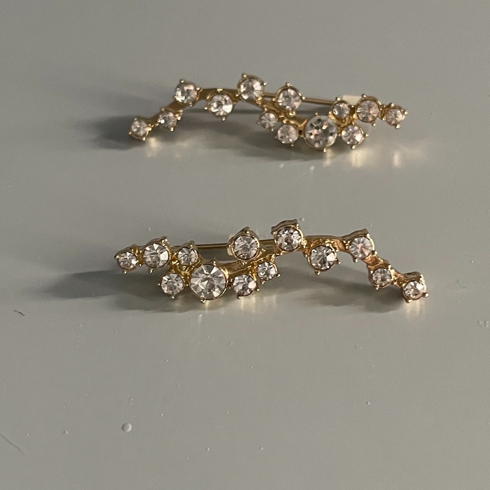Ear Crawler Earrings